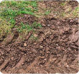 Natural or L1 Compacted Soil